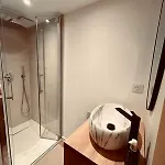 Pacis Renovee - Face -15 Pers - 5 Avec Sdb -terrasse & Bbq Sous Les Pins Willa *