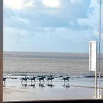 Pacis Renovee - Face -15 Pers - 5 Avec Sdb -terrasse & Bbq Sous Les Pins Willa