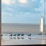 Pacis Renovee - Face -15 Pers - 5 Avec Sdb -terrasse & Bbq Sous Les Pins Willa