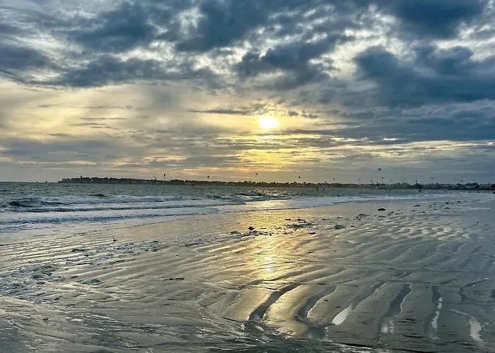 Villa Pacis Renovee - Face -15 Pers - 5 Avec Sdb -terrasse & Bbq Sous Les Pins