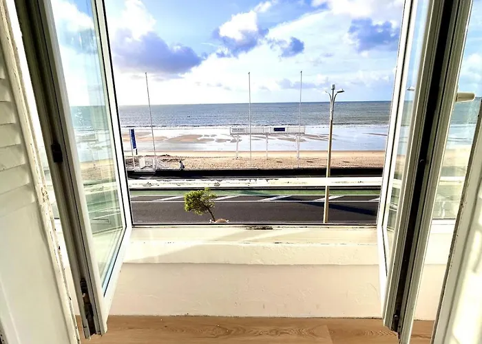 Pacis Renovee - Face -15 Pers - 5 Avec Sdb -terrasse & Bbq Sous Les Pins