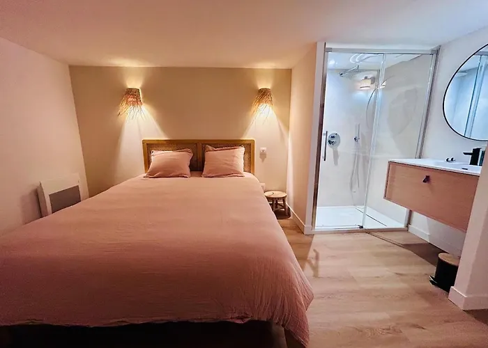 Villa Pacis Renovee - Face -15 Pers - 5 Avec Sdb -terrasse & Bbq Sous Les Pins