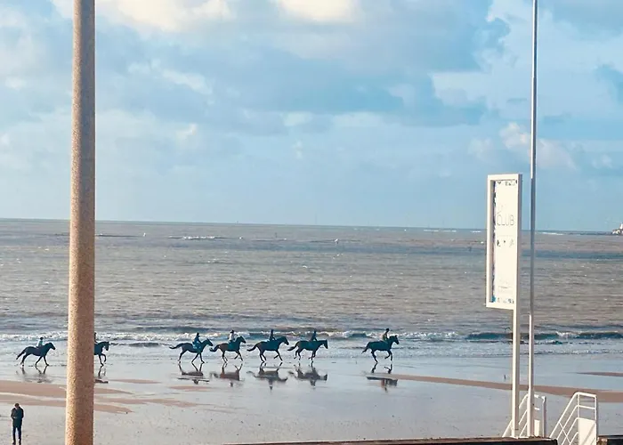 Pacis Renovee - Face -15 Pers - 5 Avec Sdb -terrasse & Bbq Sous Les Pins Villa