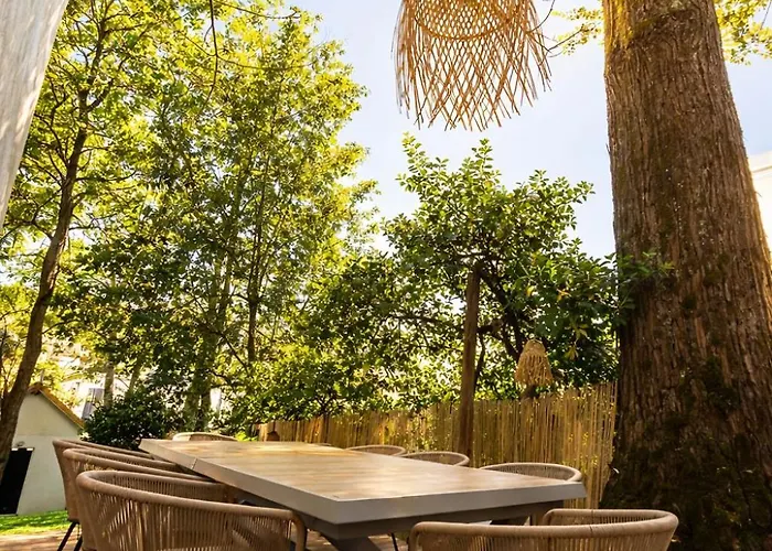 Pacis Renovee - Face -15 Pers - 5 Avec Sdb -terrasse & Bbq Sous Les Pins